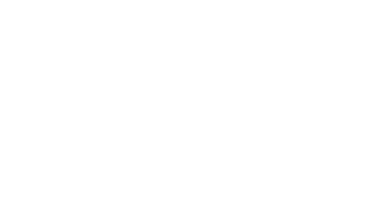 logo-theage